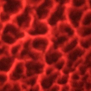 Meet your Posher, Makayla